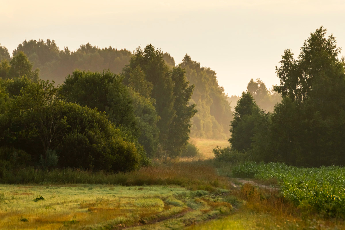 � ��� ����� ���������  �� PhotoGeek.ru #������ ��� �������