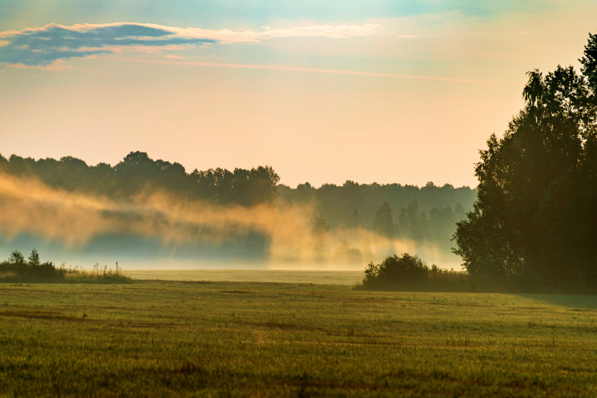 ���� ����� ���������  �� PhotoGeek.ru #������ ��� �������