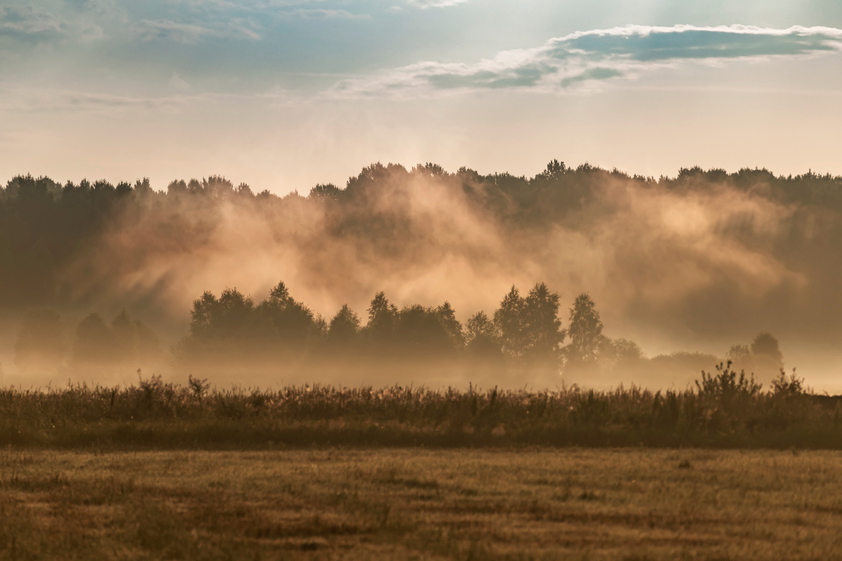 ����� ����� ���������  �� PhotoGeek.ru #������ ��� �������