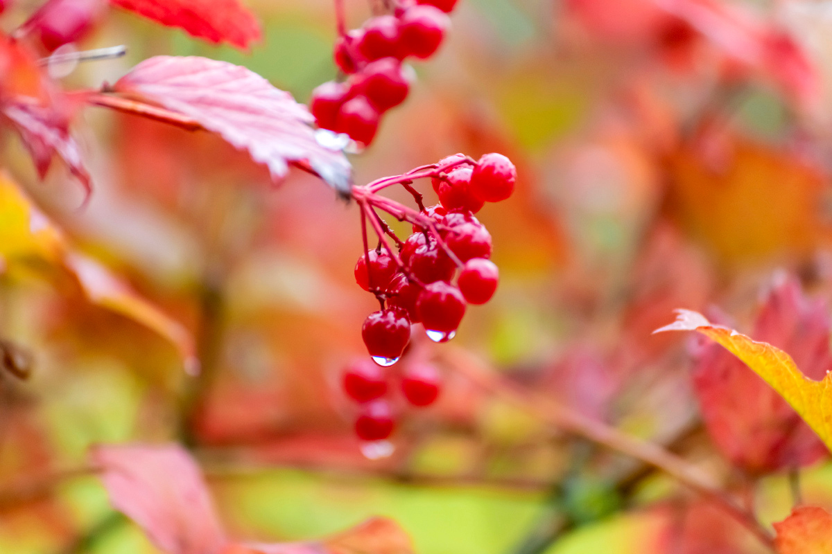 ������ ����� ���������  �� PhotoGeek.ru #������ ��� �������