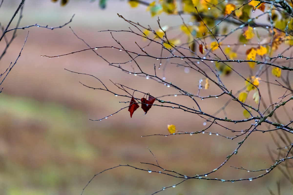 ��������� �������� ����� ���������  �� PhotoGeek.ru #������ ��� �������