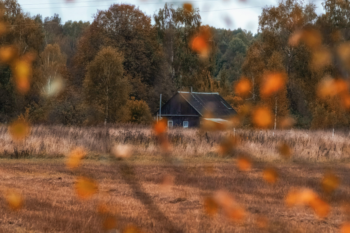 ����� ����� ���������  �� PhotoGeek.ru #������ ��� �������