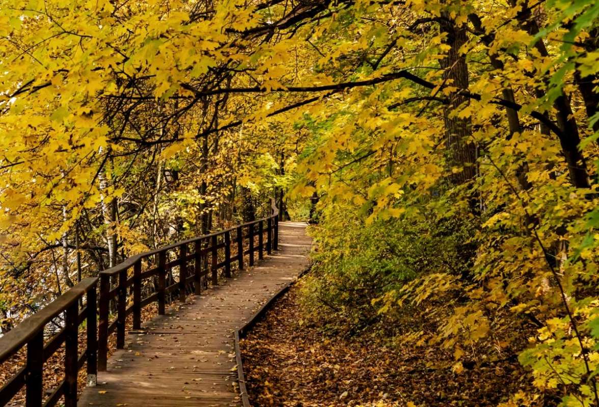 ��� ����� �������� ����� ���������  �� PhotoGeek.ru #������ ��� �������