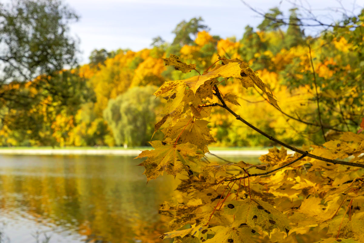 ��� ����� ���������  �� PhotoGeek.ru #������ ��� �������