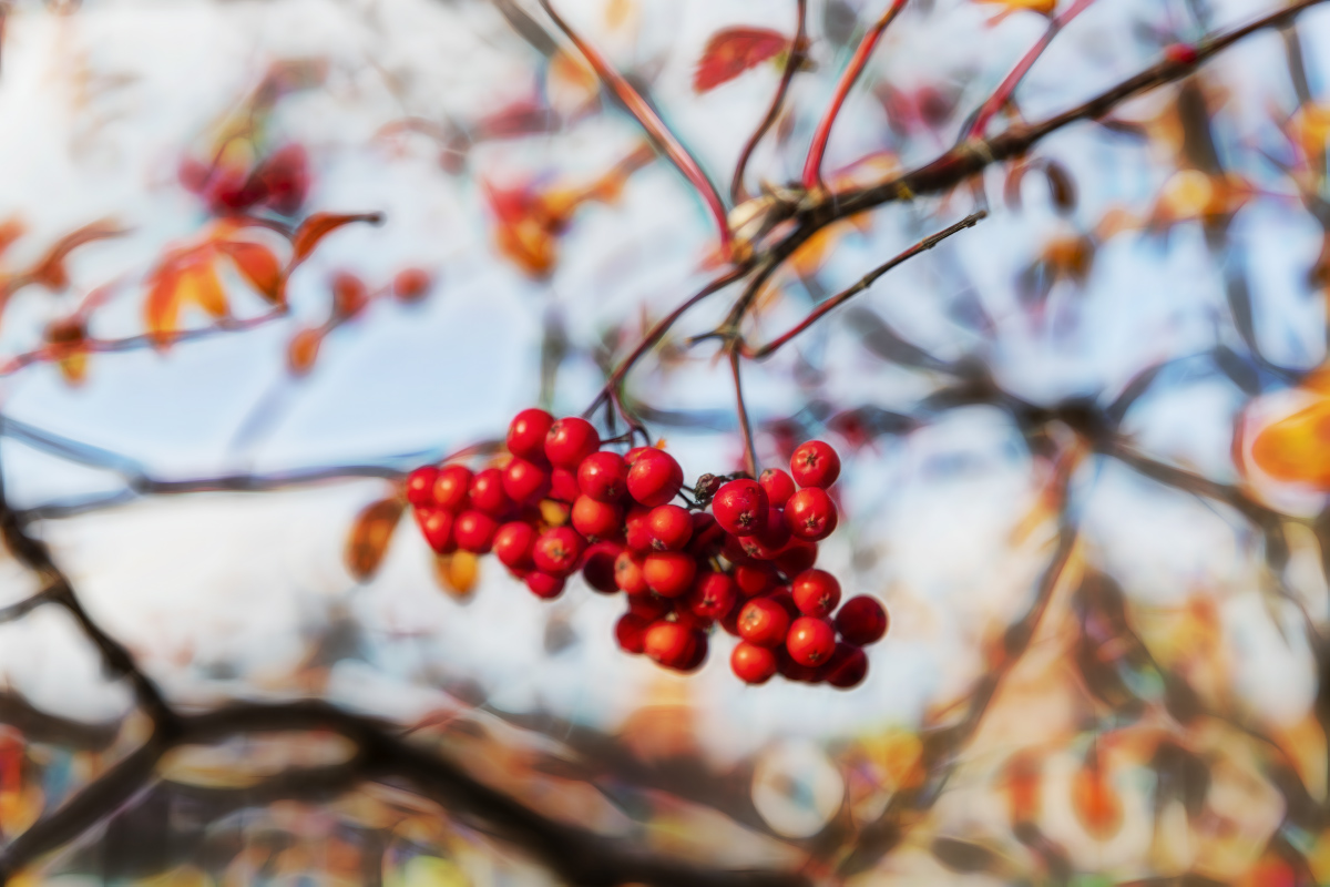 ������ ����� ���������  �� PhotoGeek.ru #������ ��� �������