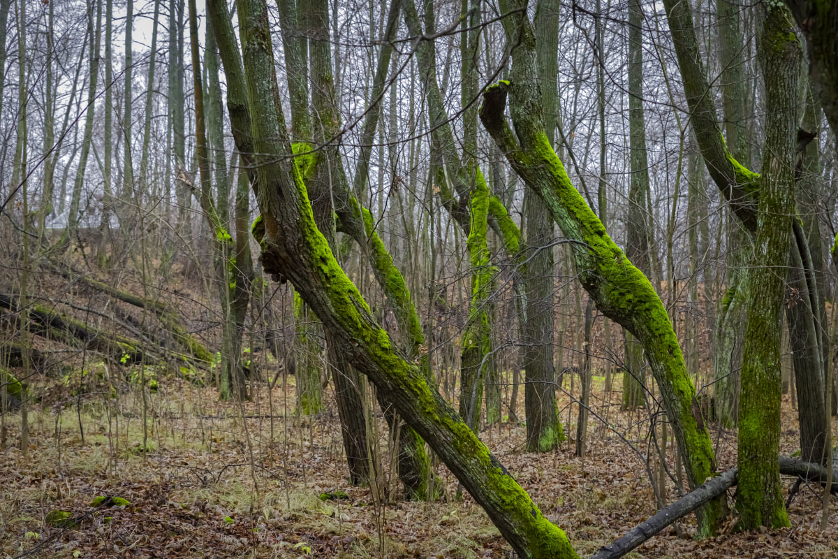 ������ ���� ����� ���������  �� PhotoGeek.ru #������ ��� ������� #�������� ����������