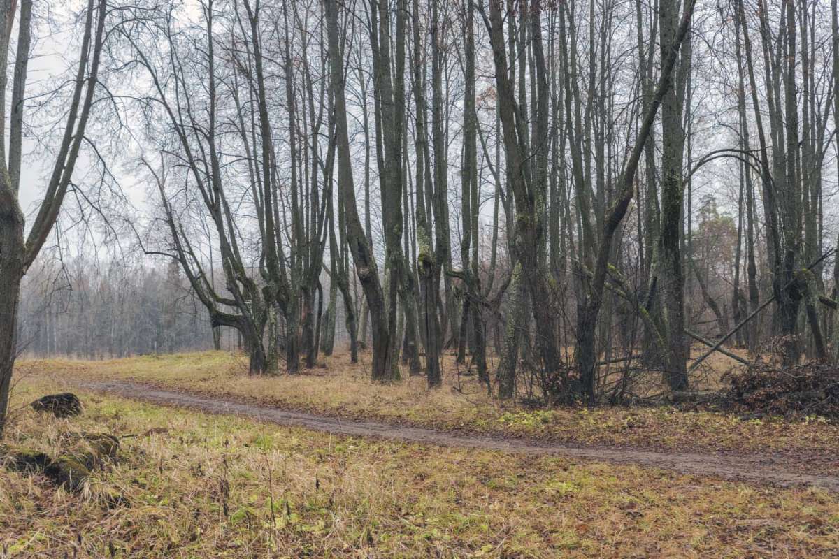 � ����� ����� ���������  �� PhotoGeek.ru #������ ��� �������