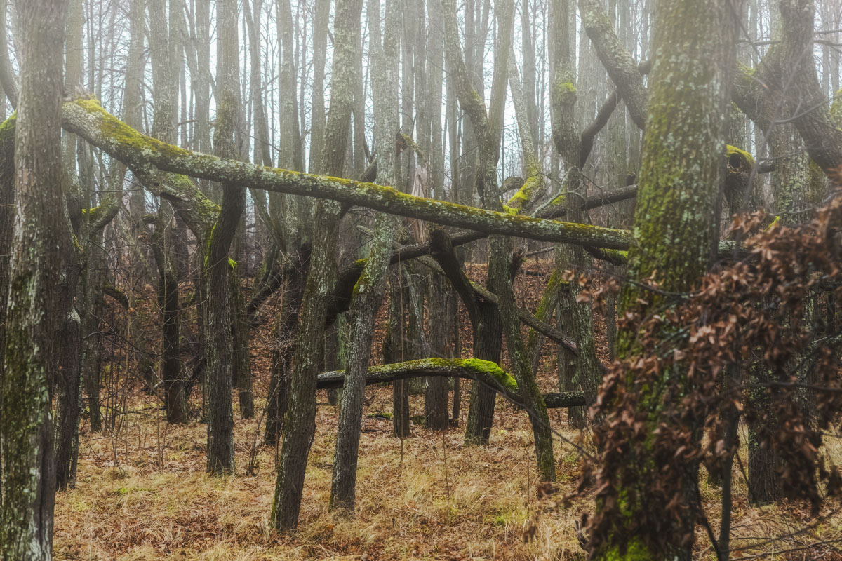 ���� ����� ���������  �� PhotoGeek.ru #������ ��� �������