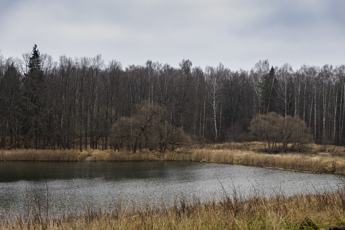 ���� � ����� ������� ����� ���������  �� PhotoGeek.ru #������ ��� �������