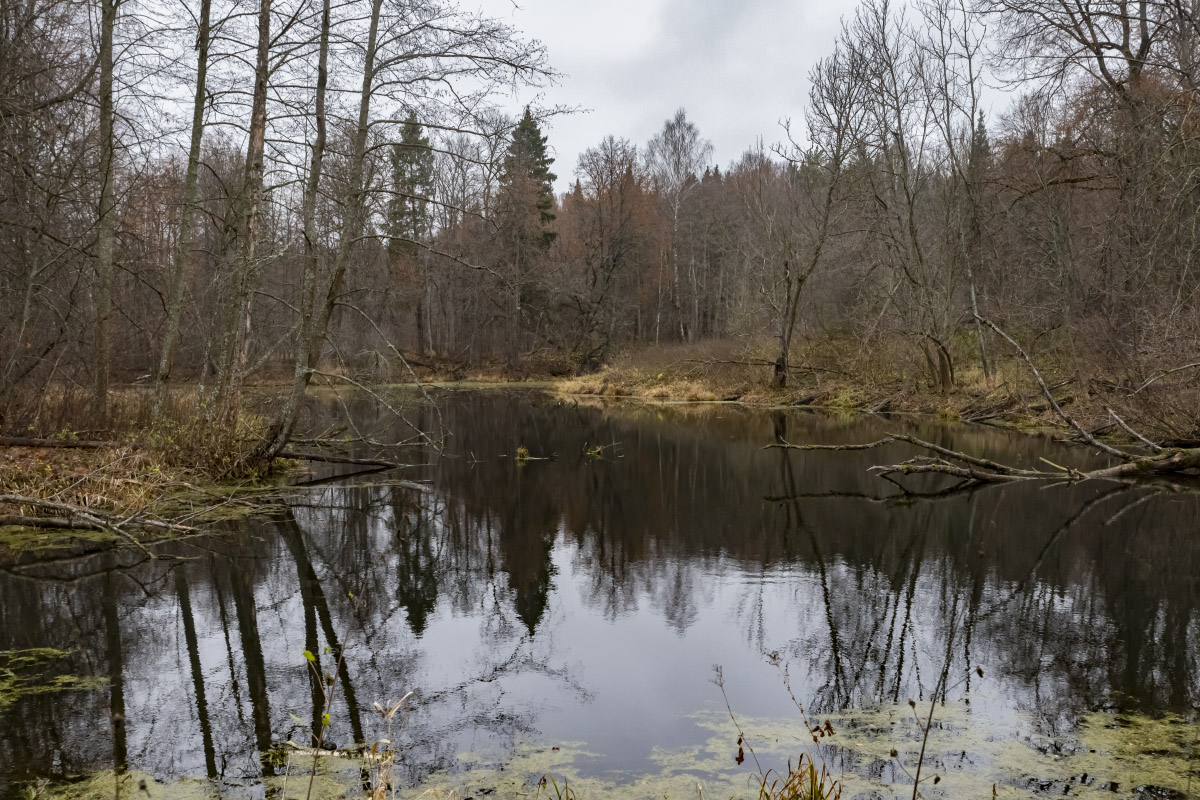 ������ ����� ����� ���������  �� PhotoGeek.ru #������ ��� �������