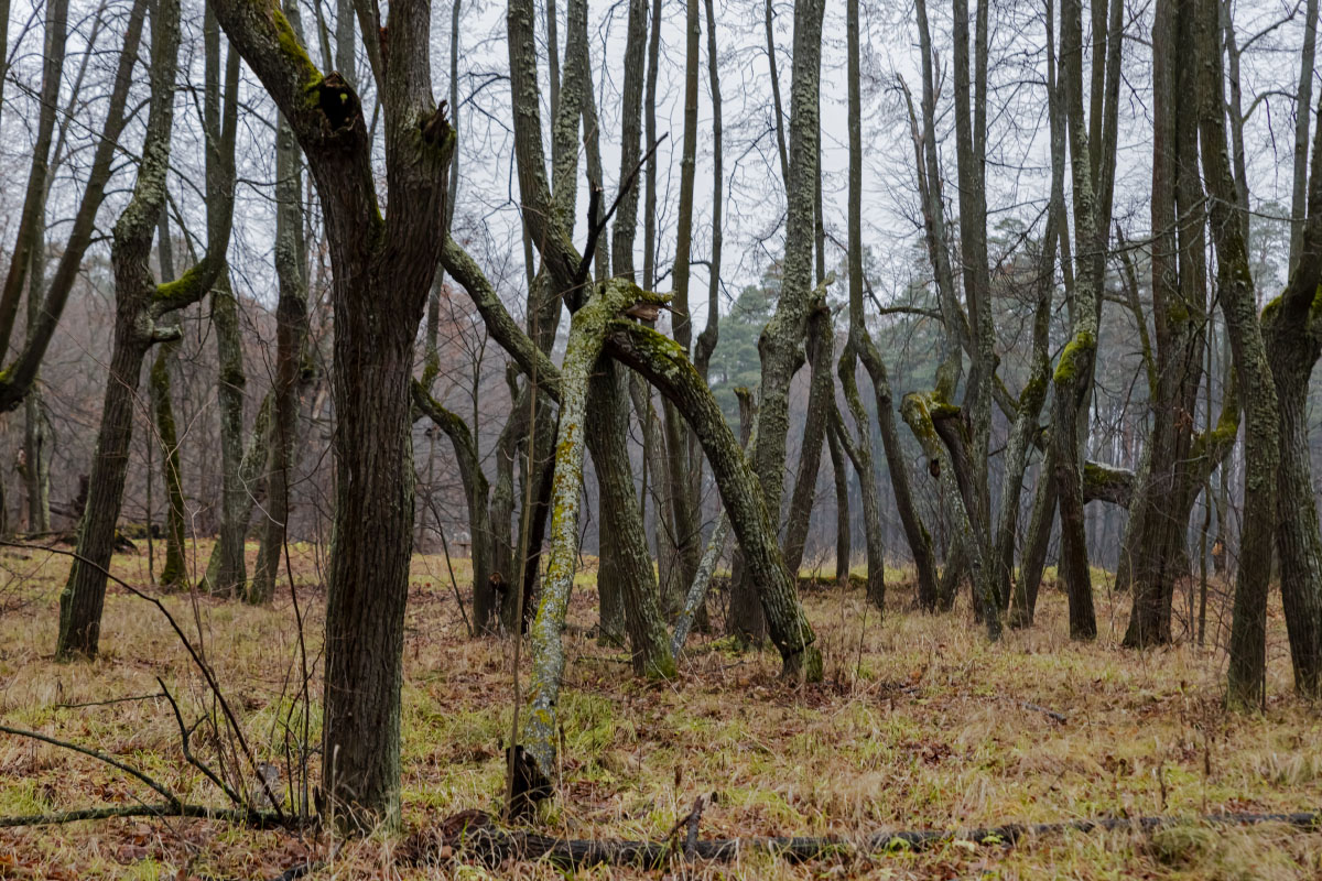 ���� ����� ���������  �� PhotoGeek.ru #������ ��� �������