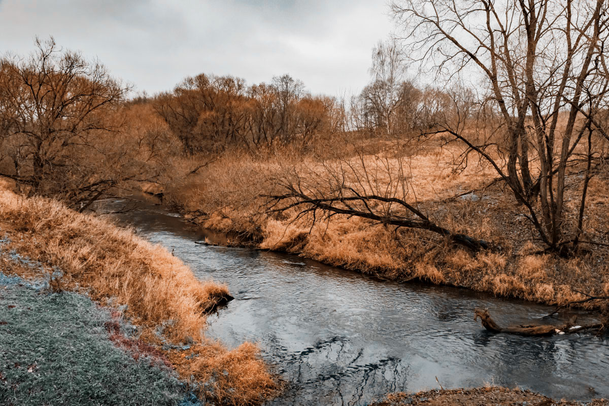 ���� ���� ����� ���������  �� PhotoGeek.ru #������ ��� �������