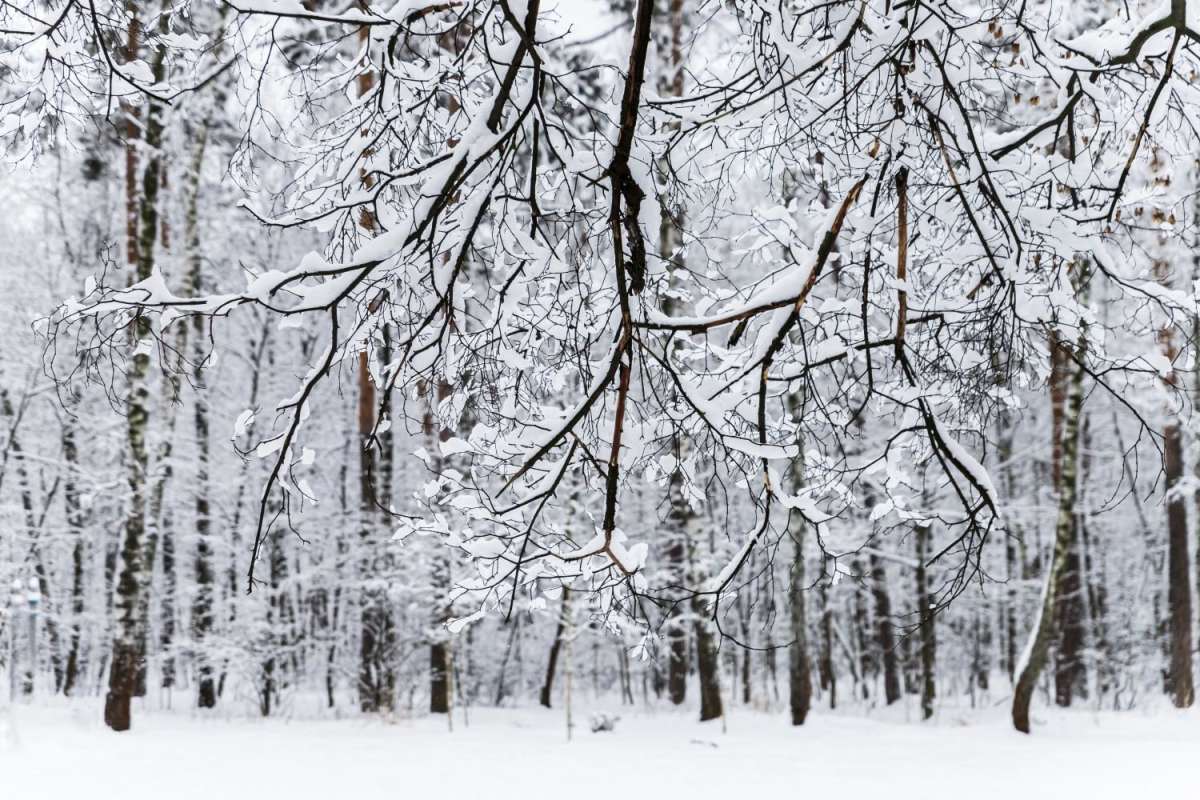 � ���� ����� ���������  �� PhotoGeek.ru #������ ��� �������