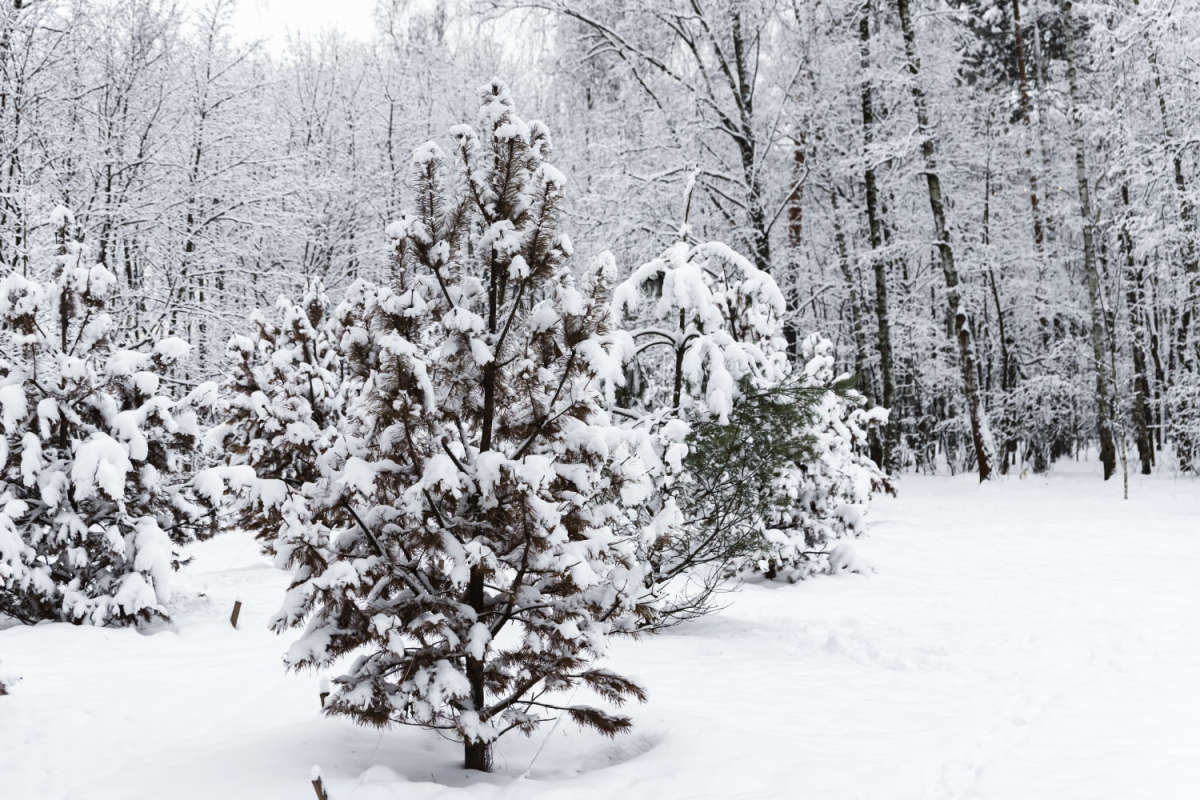 ��� ������ ����� ���������  �� PhotoGeek.ru #������ ��� �������