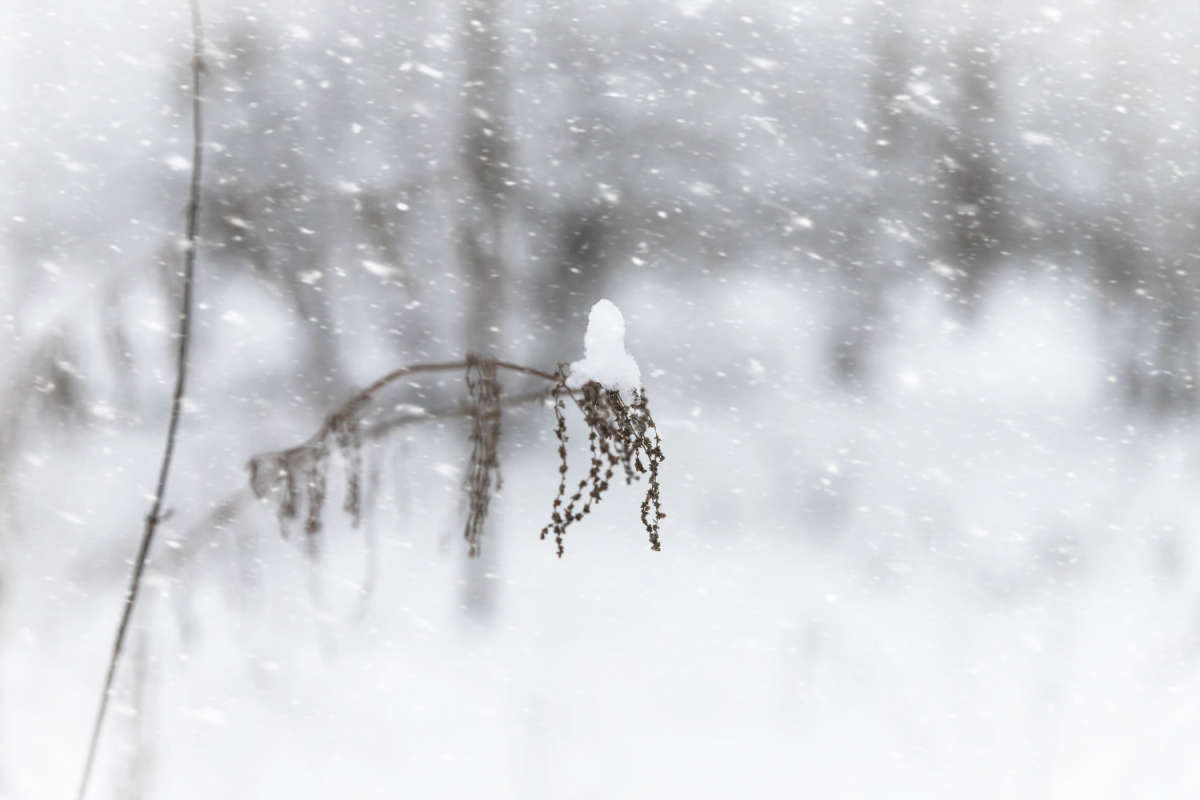 ���� ����� ���������  �� PhotoGeek.ru #������ ��� �������