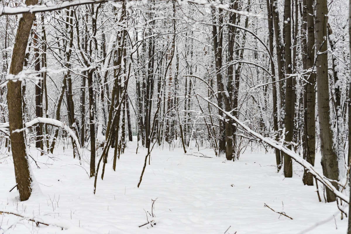 ������ ��� ����� ���������  �� PhotoGeek.ru #������ ��� �������