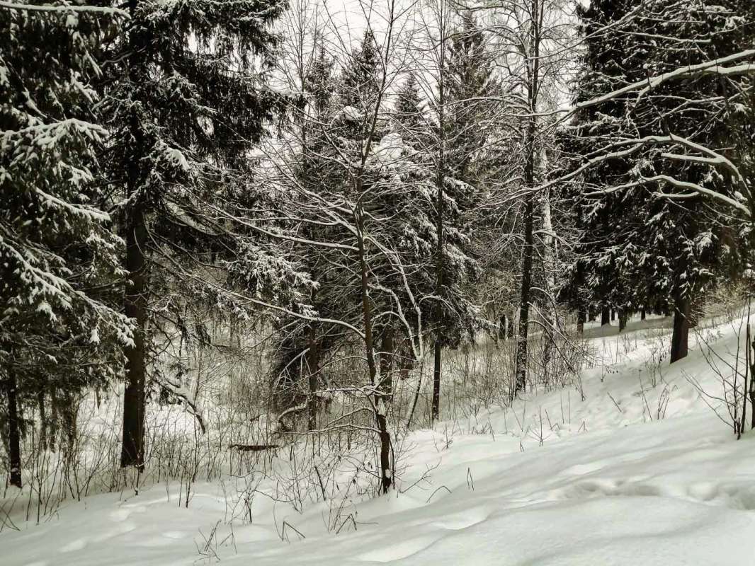 � ���� ����� ���������  �� PhotoGeek.ru #������ ��� �������