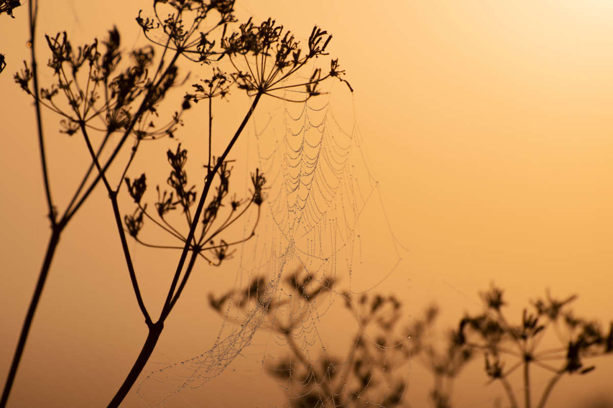 ����� ����� ���������  �� PhotoGeek.ru #������ ��� �������