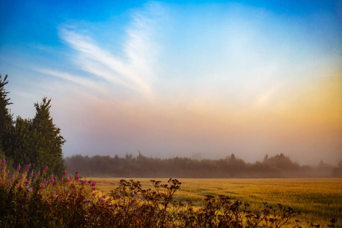 ���� ����� ���������  �� PhotoGeek.ru #������ ��� �������