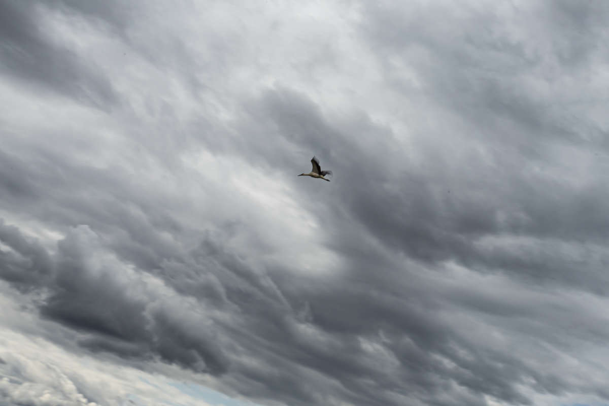 � ���� ����� ���������  �� PhotoGeek.ru #������ ��� �������