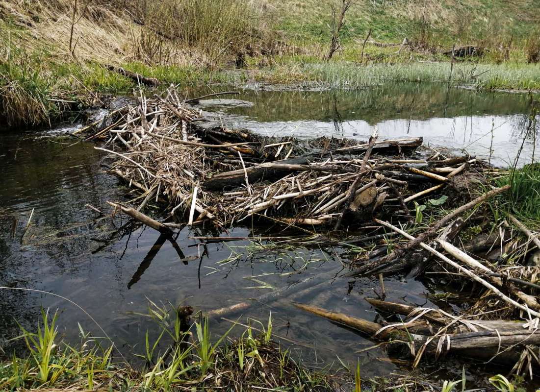 �������� ������� ����� ���������  �� PhotoGeek.ru #������ ��� �������