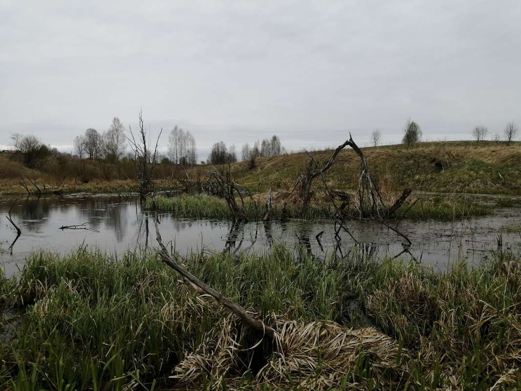 ����� ����� ���������  �� PhotoGeek.ru #������ ��� �������