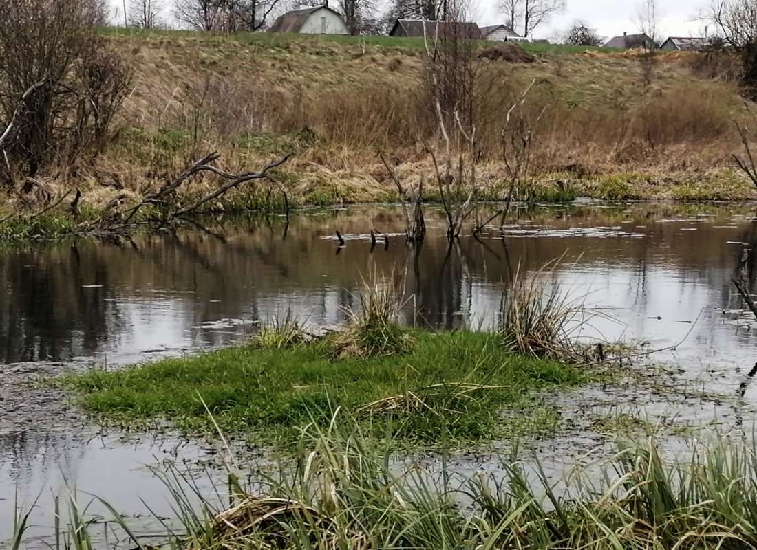 ����� ����� ���������  �� PhotoGeek.ru #������ ��� �������