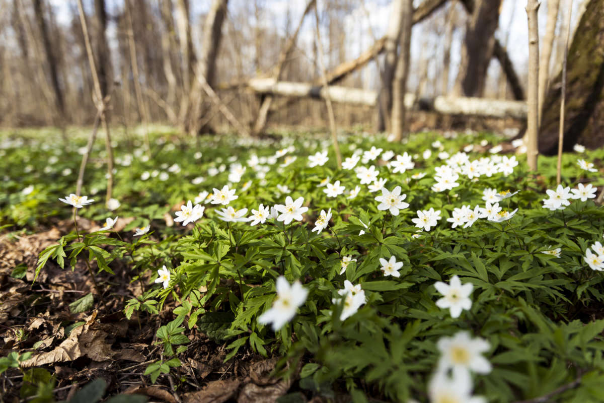 � �������� ���� ����� ���������  �� PhotoGeek.ru #������ ��� �������