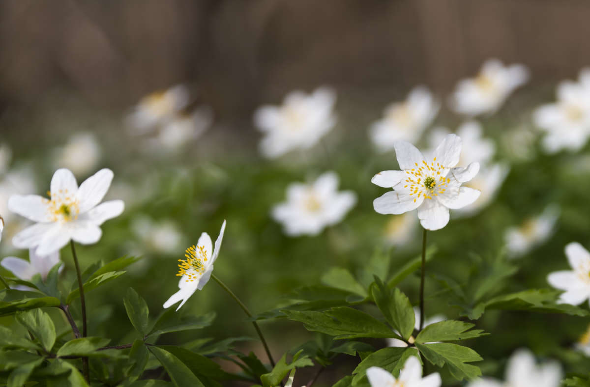 ���������� ����� ���������  �� PhotoGeek.ru #������ ��� �������