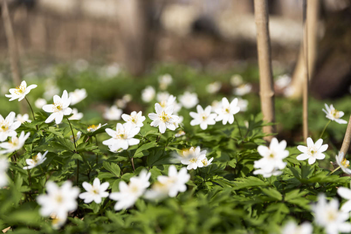 ������� ��� ����� ���������  �� PhotoGeek.ru #������ ��� �������