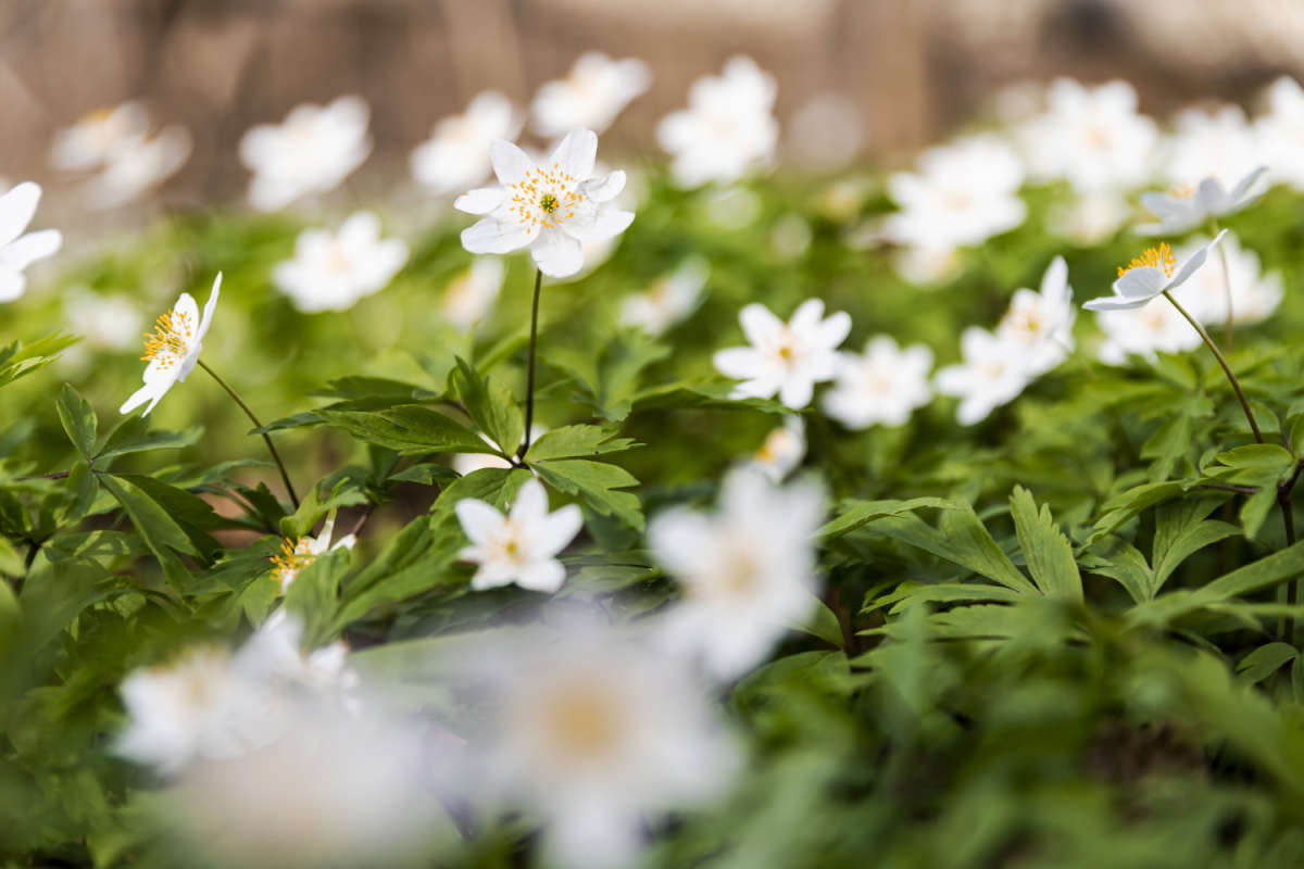 �� ������ ������� ����� ���������  �� PhotoGeek.ru #������ ��� �������