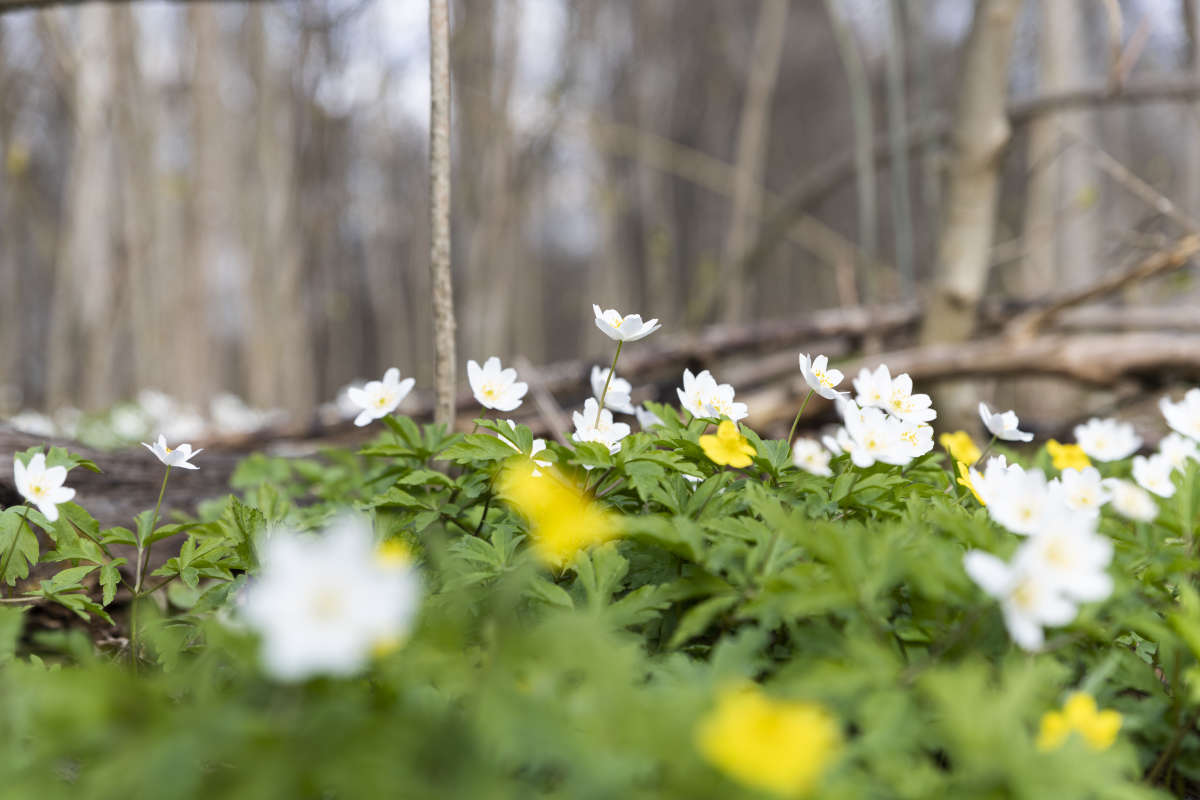 � ���� ����� ���������  �� PhotoGeek.ru #������ ��� �������