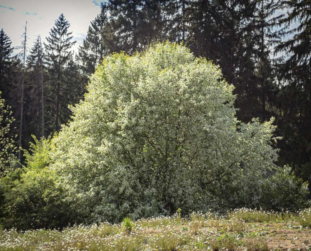 ���� ������� ����� ���������  �� PhotoGeek.ru #������ ��� �������