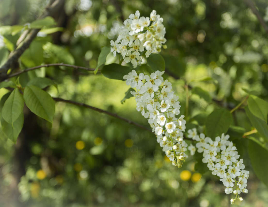 � ��� ������!!! ����� ���������  �� PhotoGeek.ru #������ ��� �������