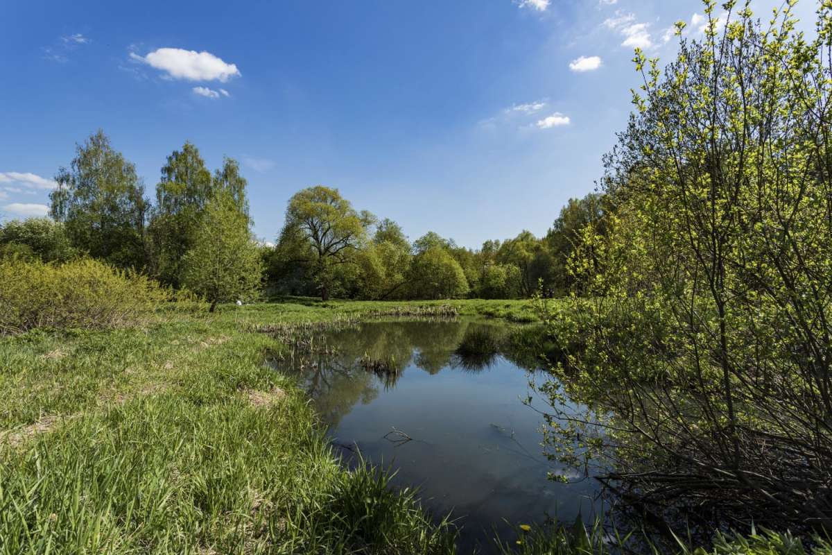 � ���� ����� ���������  �� PhotoGeek.ru #������ ��� �������