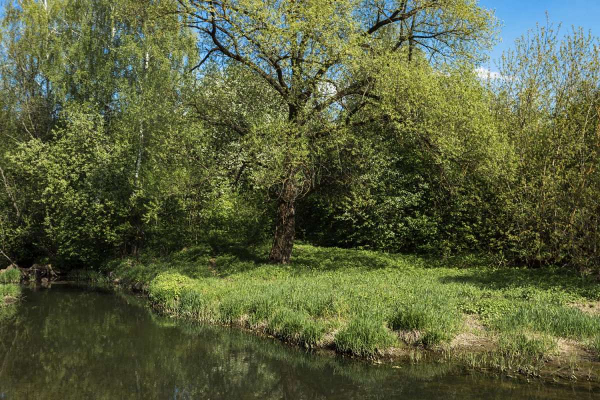 ����� ����� ���������  �� PhotoGeek.ru #������ ��� �������