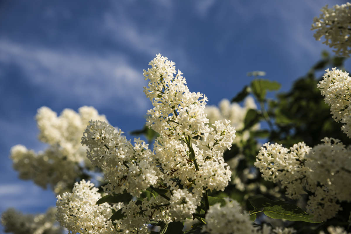 ���������� ������ ����� ���������  �� PhotoGeek.ru #������ ��� �������