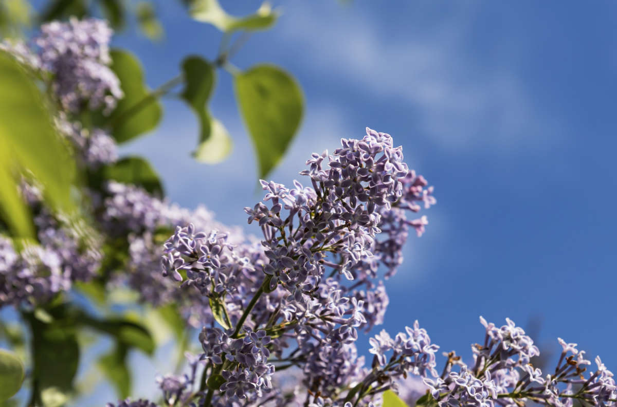 ������ ����� ���������  �� PhotoGeek.ru #������ ��� �������