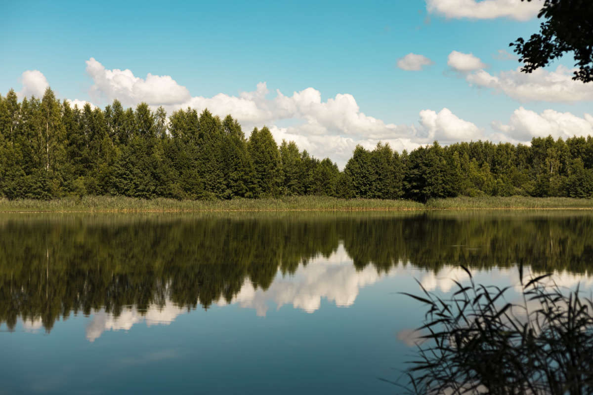��������� ����� ���������  �� PhotoGeek.ru #������ ��� �������