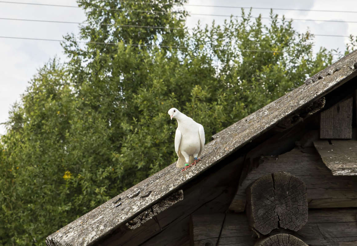 ������ ����� ���������  �� PhotoGeek.ru #�������� ����������