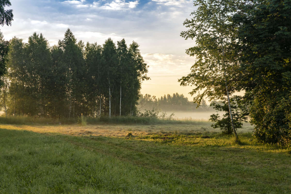 ������ ���� ����� ���������  �� PhotoGeek.ru #������ ��� �������