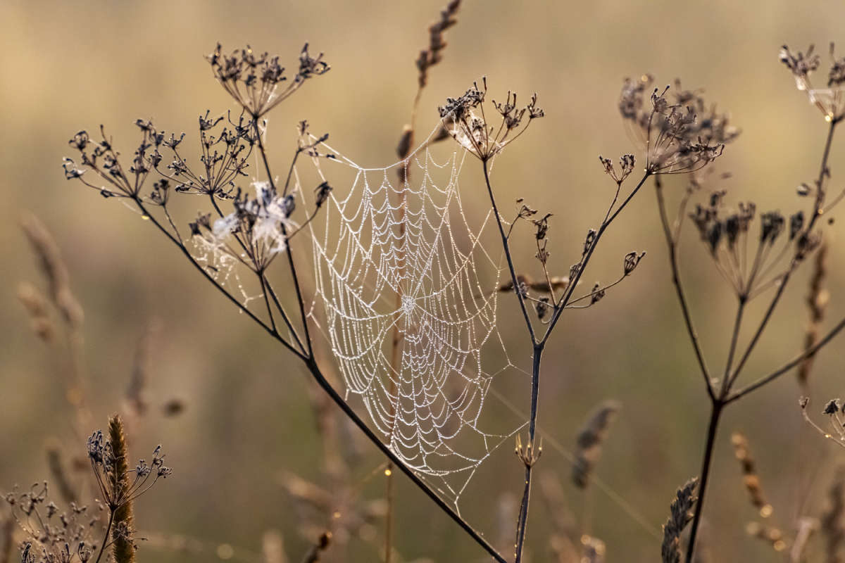 �������� ����� ���������  �� PhotoGeek.ru #����� #������ ��� �������