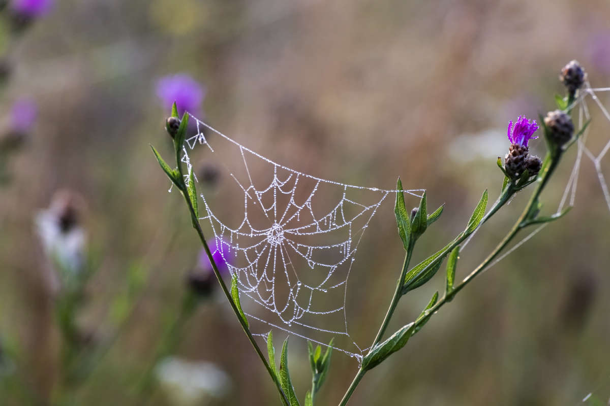 ���� ����� ���������  �� PhotoGeek.ru #����� #������ ��� �������