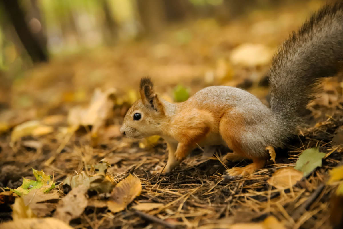 ����� ����� ���������  �� PhotoGeek.ru #�������� ���