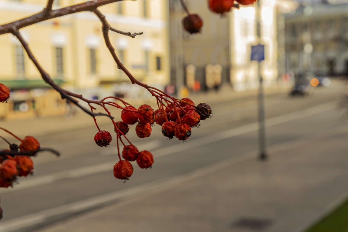 ������ �� ������� ����� ���������  �� PhotoGeek.ru #�����