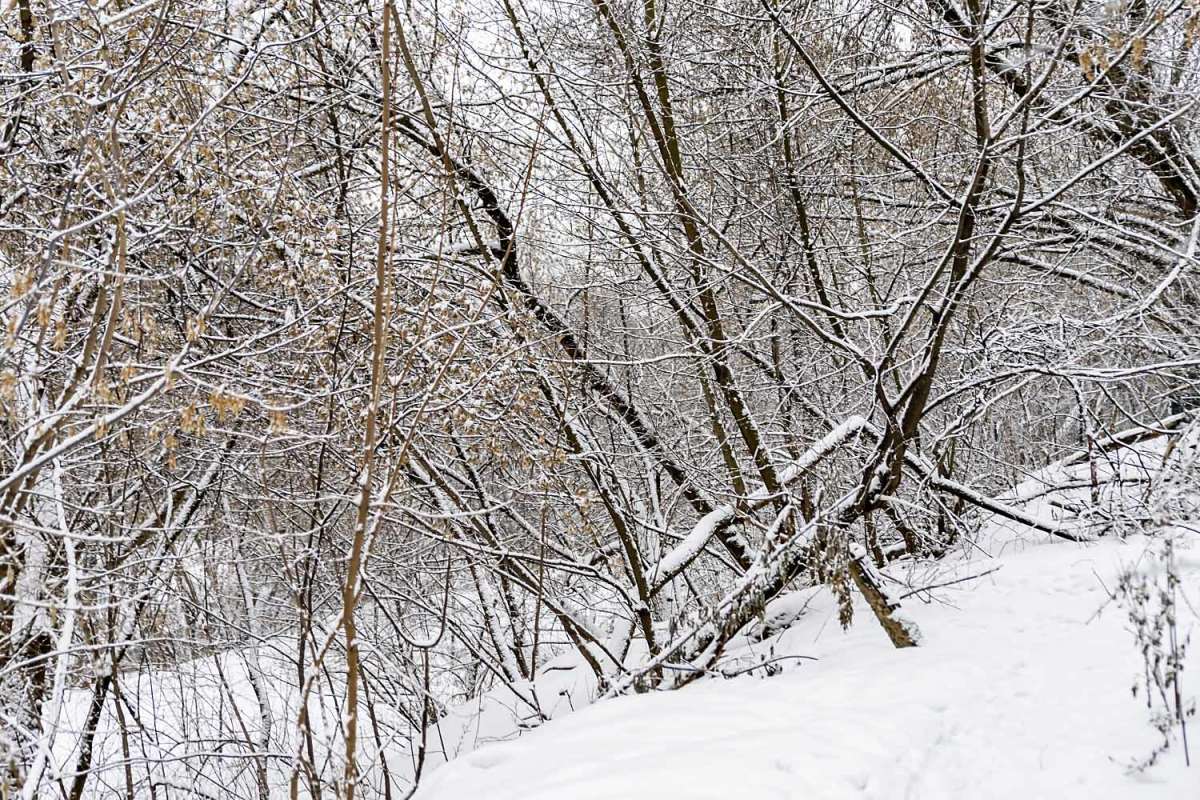 ������ ����� ����� ���������  �� PhotoGeek.ru #������ ��� ������� #�������� ����������