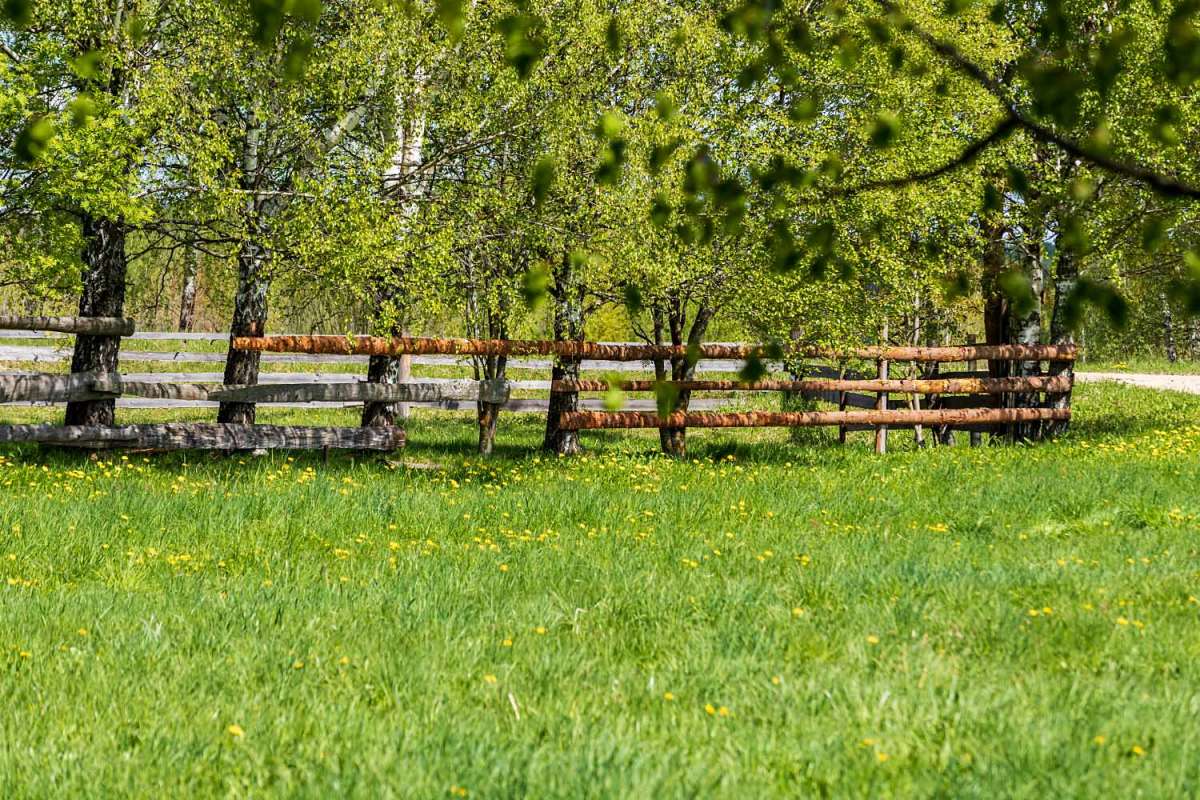 �������� ����� ���������  �� PhotoGeek.ru #������ ��� ������� #�������� ����������