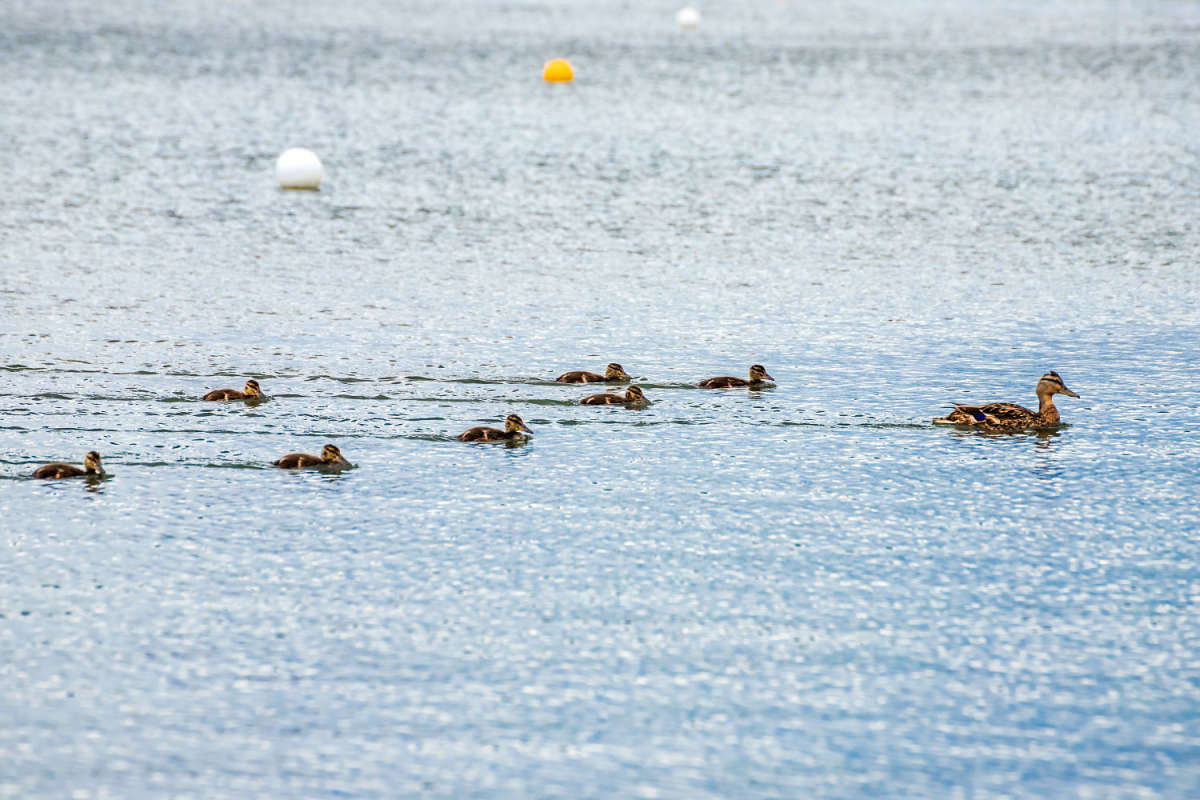 ������ ����� ���������  �� PhotoGeek.ru #�������� ��� #�������� ����������