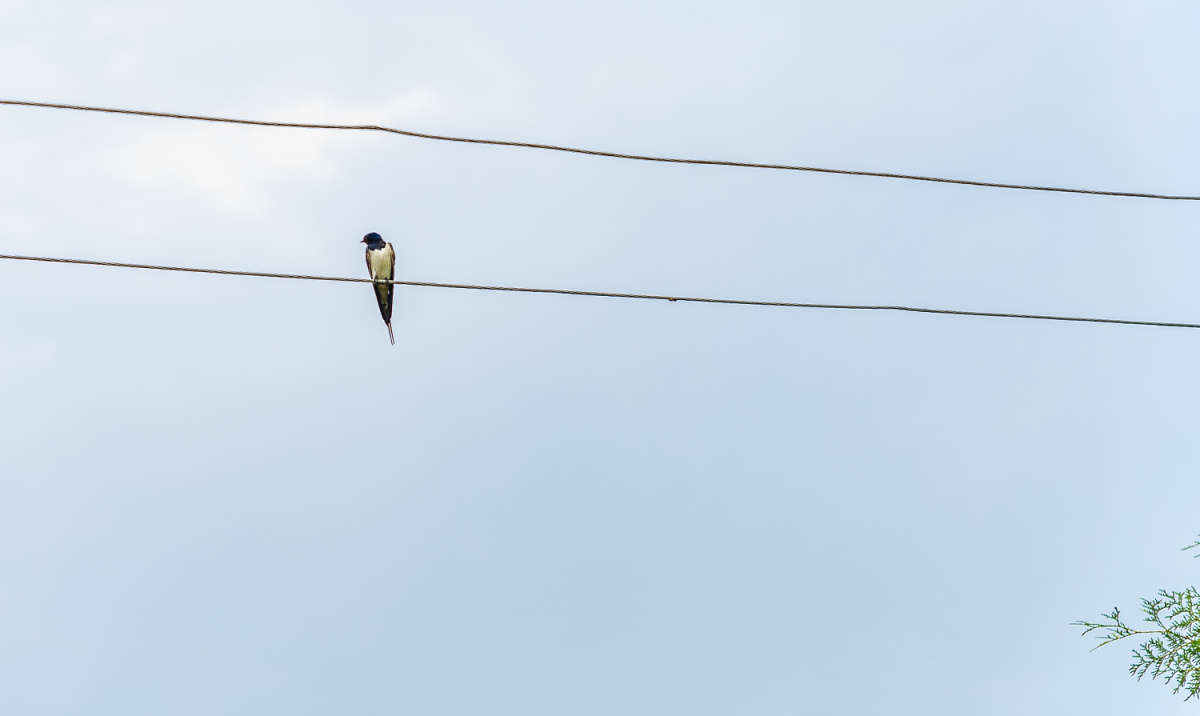 �� ������� ����� ���������  �� PhotoGeek.ru #�������� ��� #�������� ����������