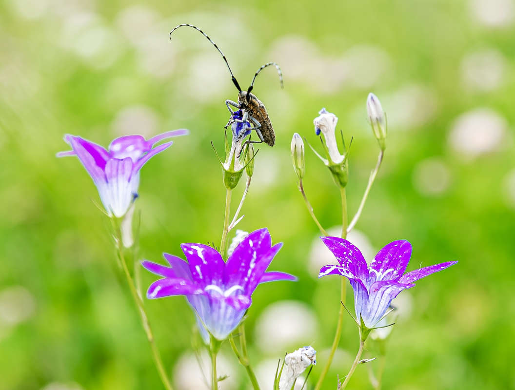 ���� ����� ���������  �� PhotoGeek.ru #����� #������ ��� �������